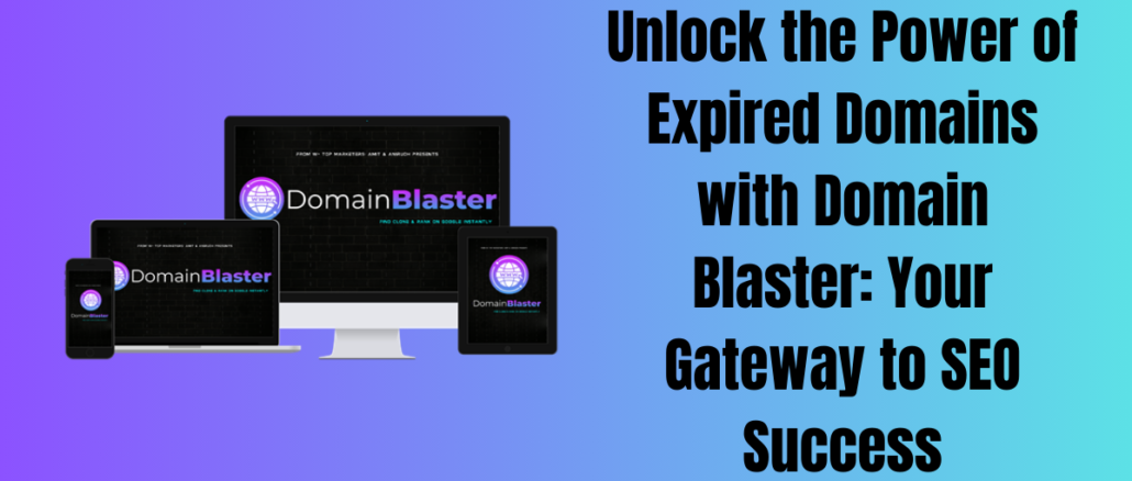 Unlock the Power of Expired Domains with Domain Blaster: Your Gateway to SEO Success